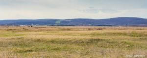Badger landscape Westrich CSWAB facebook