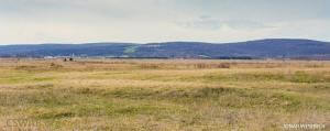 Madison Audubon Society Calls for Protection of Badger Grasslands