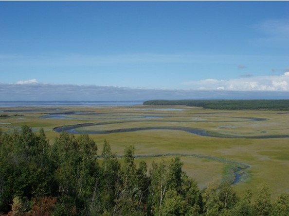 EPA Responds to Citizen Comment on Alaska Burn Pits